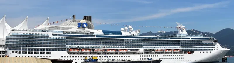 ISLAND PRINCESS Passenger Ship IMO 9230402 photo 7