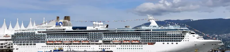 ISLAND PRINCESS Passenger Ship IMO 9230402 photo 9