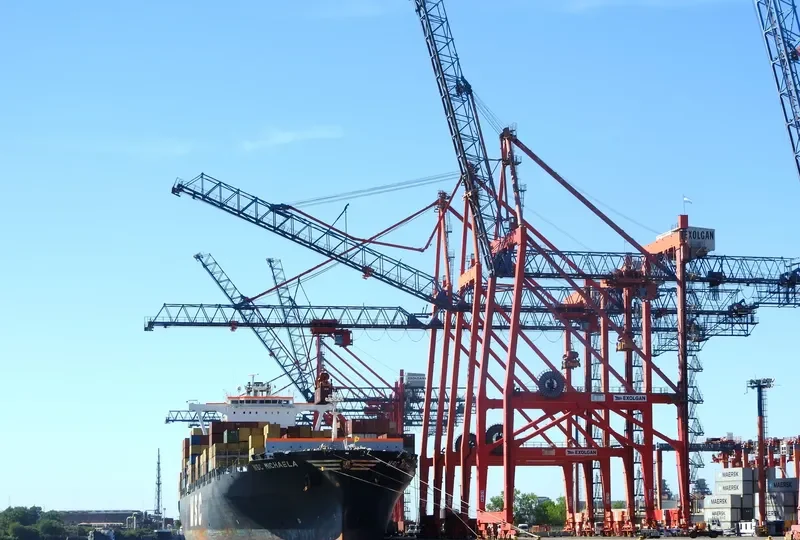 MSC MICHAELA Container Ship IMO 9230488 photo 10