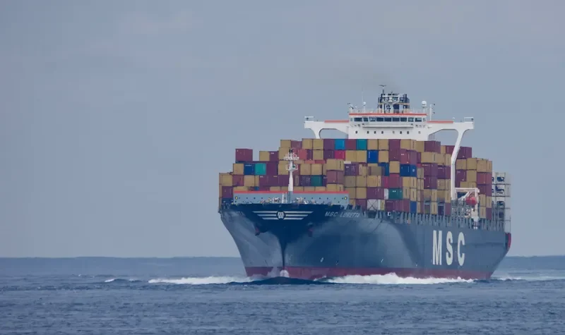 MSC LORETTA Container Ship IMO 9230490 photo 3
