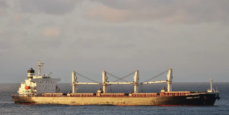 WORLDERA 2 Bulk Carrier IMO 9230751 photo 2