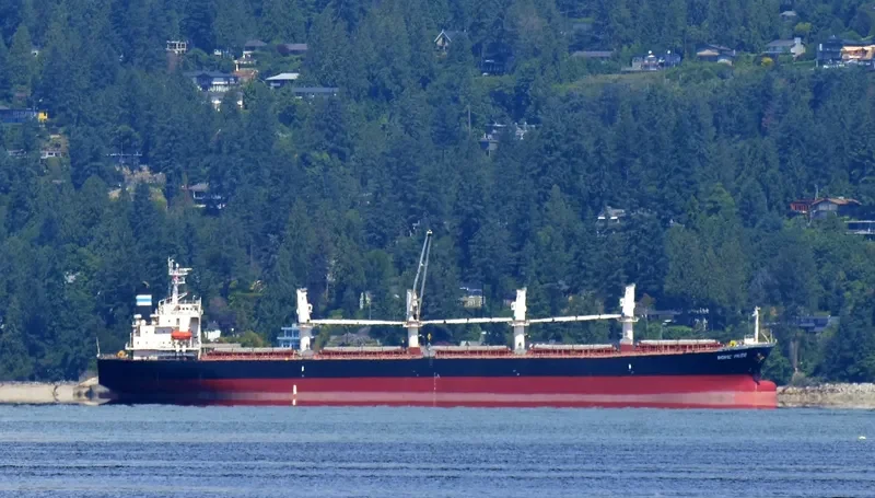 WORLDERA 2 Bulk Carrier IMO 9230751 photo 4
