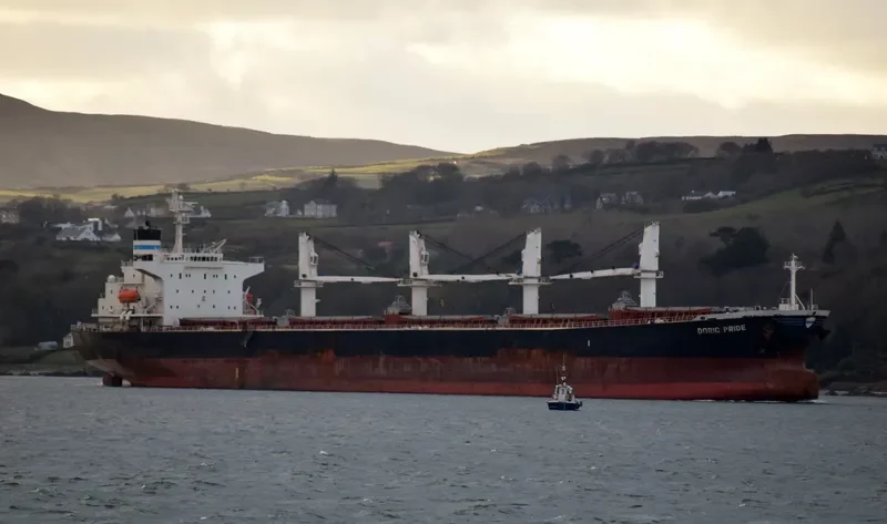 WORLDERA 2 Bulk Carrier IMO 9230751 photo 6