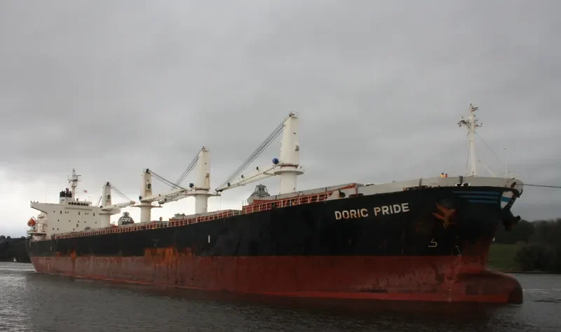 WORLDERA 2 Bulk Carrier IMO 9230751 photo 7