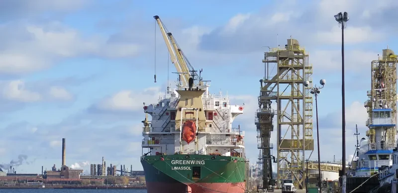 GREENWING Bulk Carrier IMO 9230921