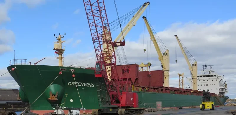 GREENWING Bulk Carrier IMO 9230921 photo 3