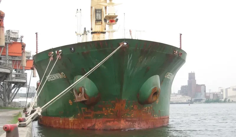 GREENWING Bulk Carrier IMO 9230921 photo 4