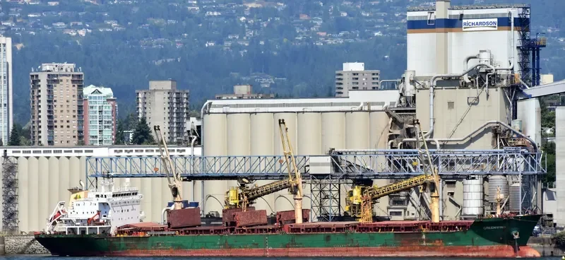 GREENWING Bulk Carrier IMO 9230921 photo 6