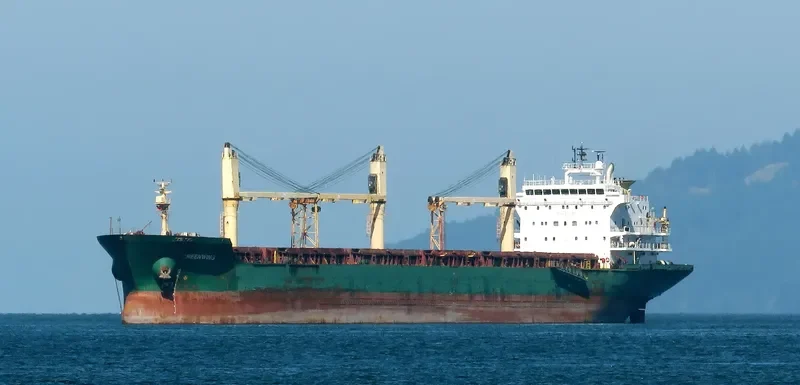 GREENWING Bulk Carrier IMO 9230921 photo 7