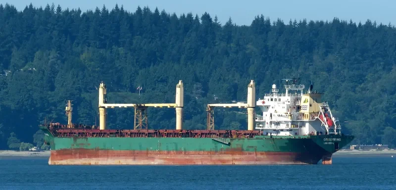 GREENWING Bulk Carrier IMO 9230921 photo 8
