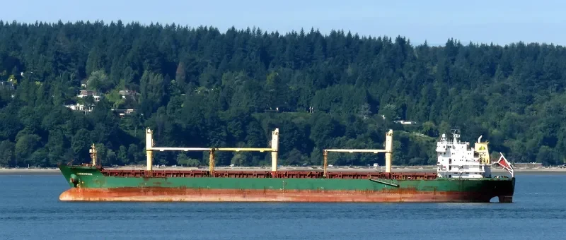 GREENWING Bulk Carrier IMO 9230921 photo 9