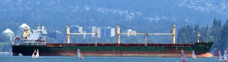 GREENWING Bulk Carrier IMO 9230921 photo 10
