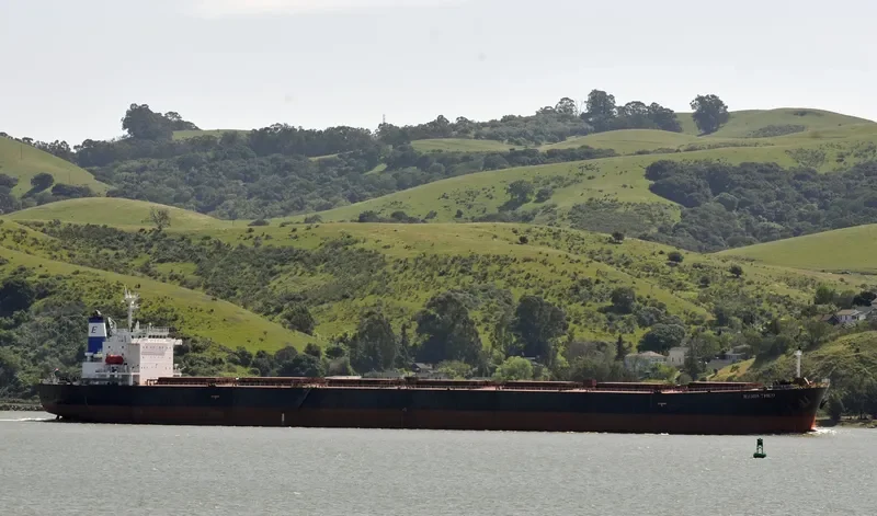 JIAN QIN Bulk Carrier IMO 9231030 photo 4