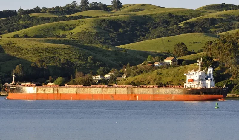 JIAN QIN Bulk Carrier IMO 9231030 photo 6