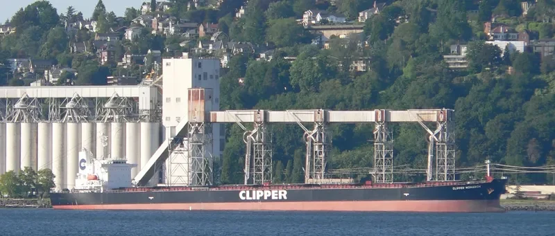 JIAN QIN Bulk Carrier IMO 9231030 photo 8