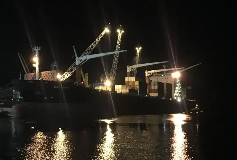 ZEBRA Container Ship IMO 9231157 photo 2