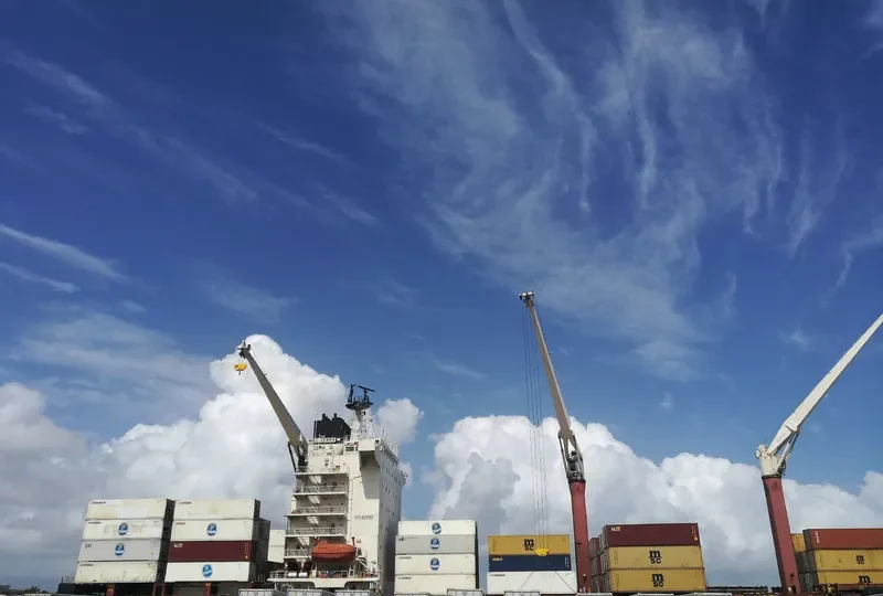 ZEBRA Container Ship IMO 9231157 photo 3