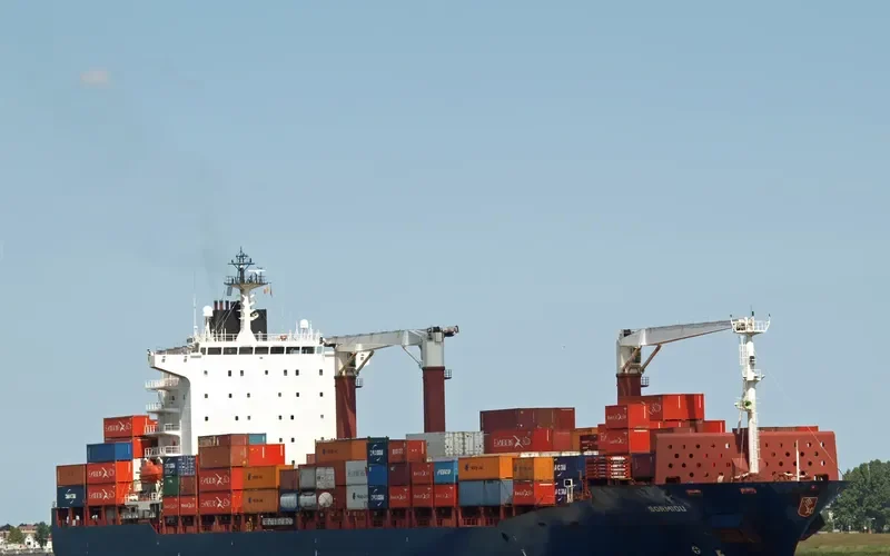 ZEBRA Container Ship IMO 9231157 photo 5