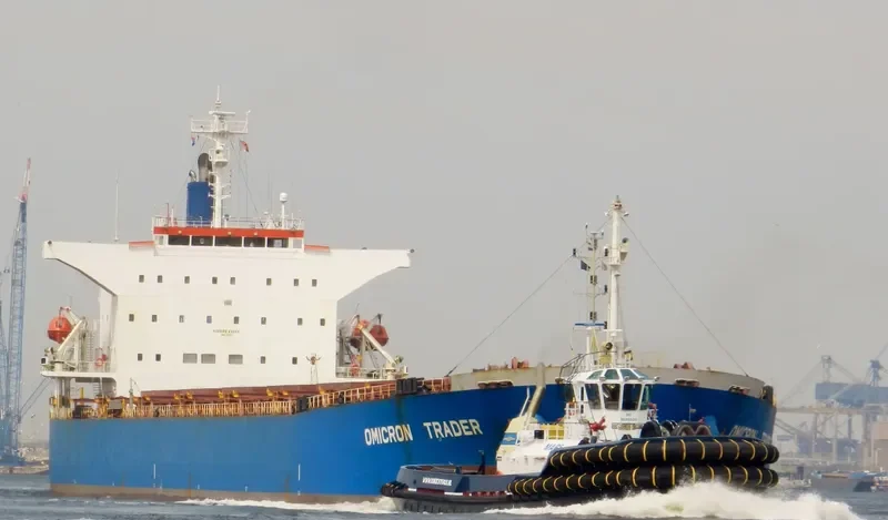GOLDEN HARVEST Bulk Carrier IMO 9231274