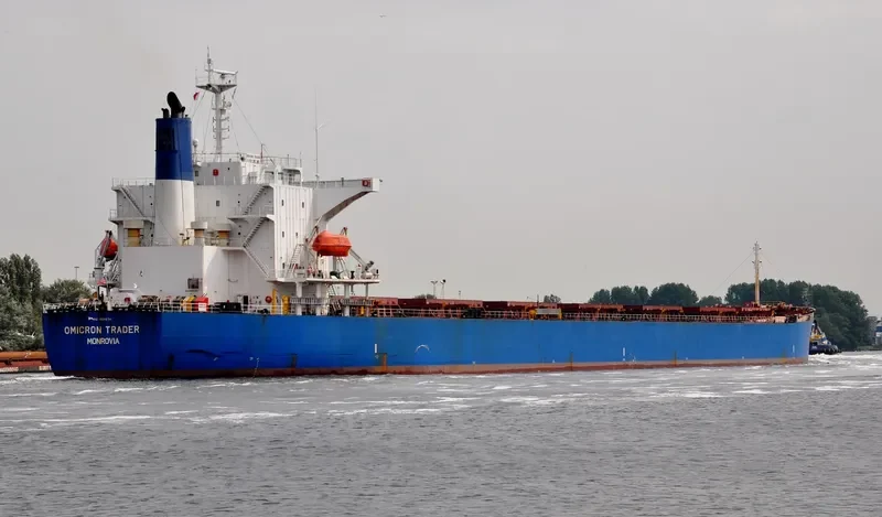 GOLDEN HARVEST Bulk Carrier IMO 9231274 photo 4