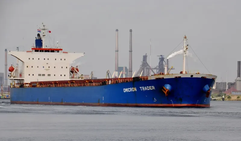 GOLDEN HARVEST Bulk Carrier IMO 9231274 photo 6