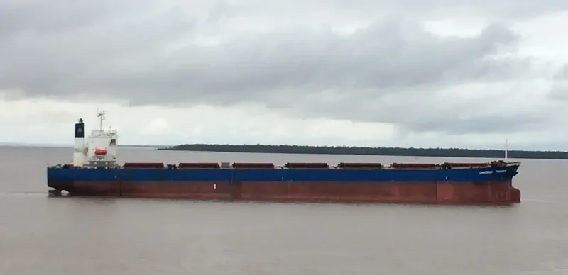 GOLDEN HARVEST Bulk Carrier IMO 9231274 photo 9