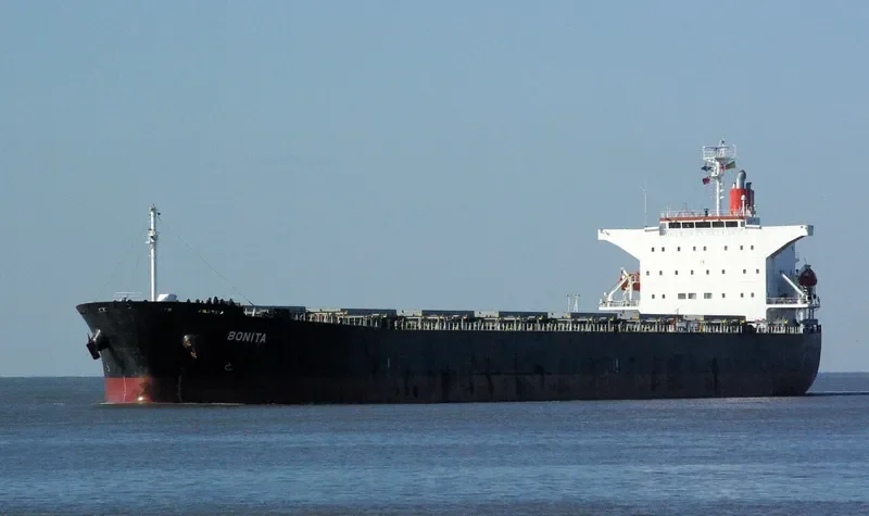 BONITA Bulk Carrier IMO 9231286 photo 4
