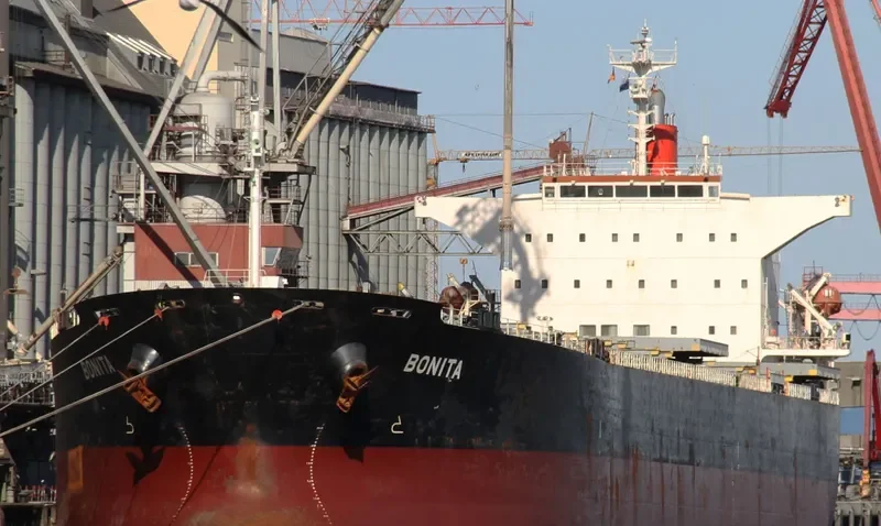 BONITA Bulk Carrier IMO 9231286 photo 5
