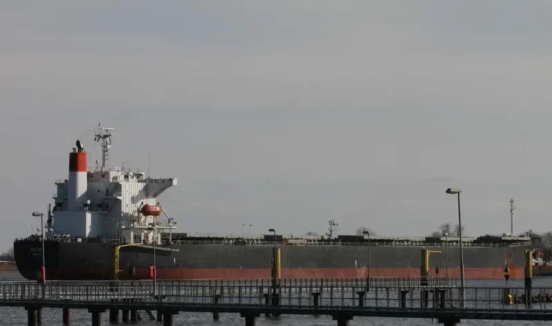 BONITA Bulk Carrier IMO 9231286 photo 8