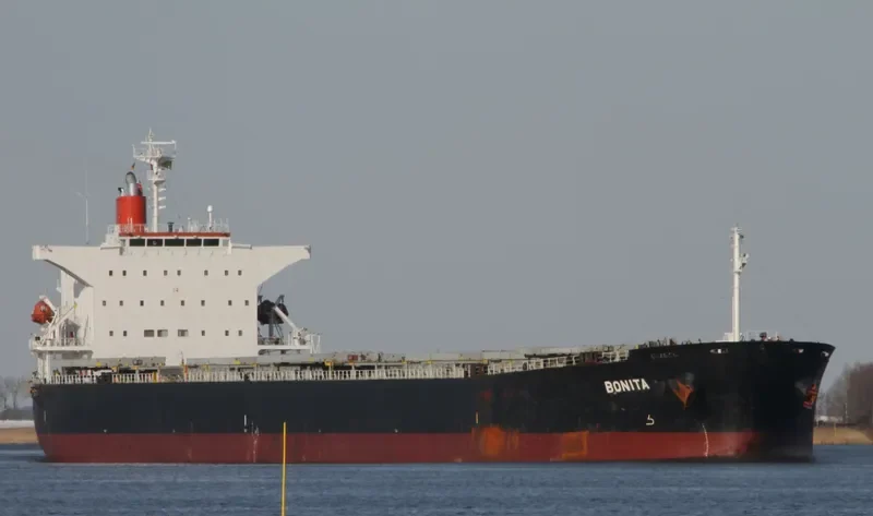 BONITA Bulk Carrier IMO 9231286 photo 12