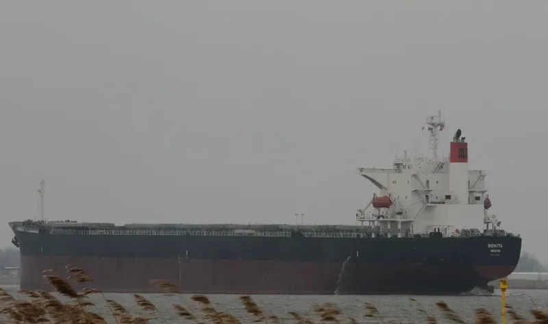 BONITA Bulk Carrier IMO 9231286 photo 27