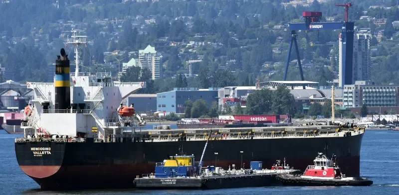 TIAN YI 88 Bulk Carrier IMO 9231298 photo 3