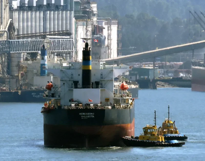 TIAN YI 88 Bulk Carrier IMO 9231298 photo 6