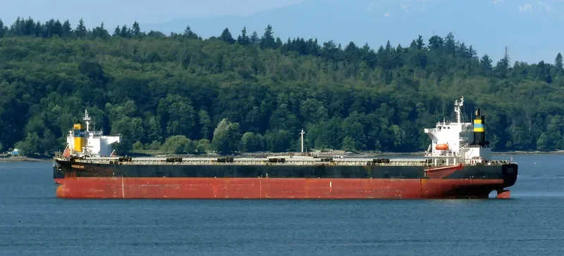 TIAN YI 88 Bulk Carrier IMO 9231298 photo 7