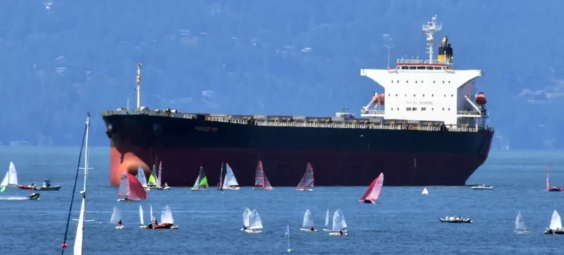 TIAN YI 88 Bulk Carrier IMO 9231298 photo 8