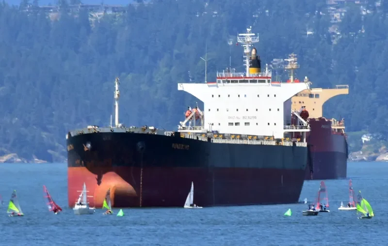 TIAN YI 88 Bulk Carrier IMO 9231298 photo 9
