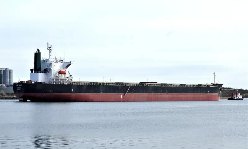 THE HOLY Bulk Carrier IMO 9231303 photo 10