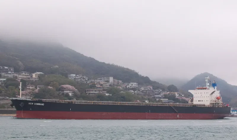TIAN YI 16 Bulk Carrier IMO 9231315