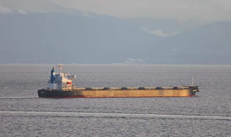 TIAN YI 16 Bulk Carrier IMO 9231315 photo 5