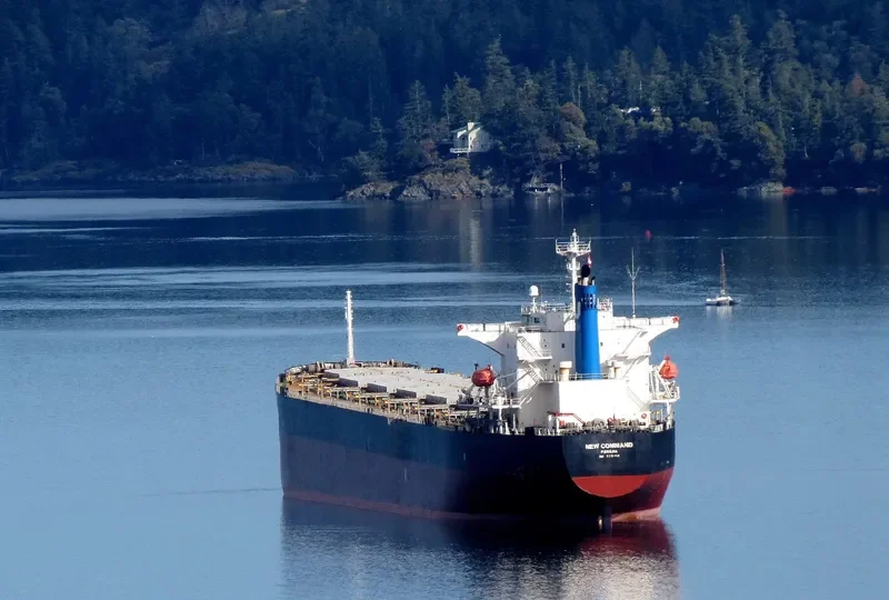 TIAN YI 16 Bulk Carrier IMO 9231315 photo 7