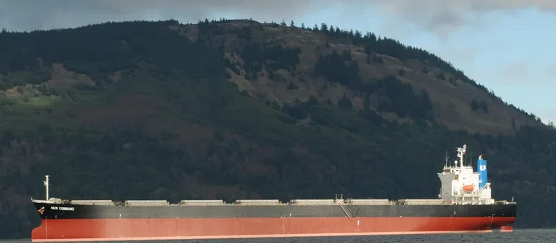 TIAN YI 16 Bulk Carrier IMO 9231315 photo 8