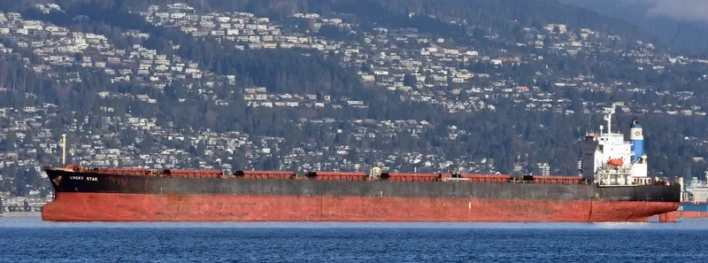 LUCKY STAR Bulk Carrier IMO 9231327 photo 8