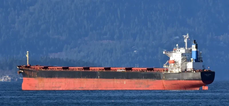 LUCKY STAR Bulk Carrier IMO 9231327 photo 9