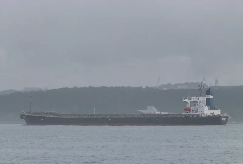 VITASPIRIT Bulk Carrier IMO 9231377 photo 2