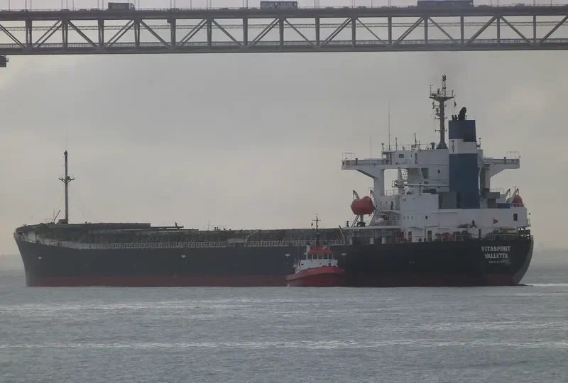 VITASPIRIT Bulk Carrier IMO 9231377 photo 3