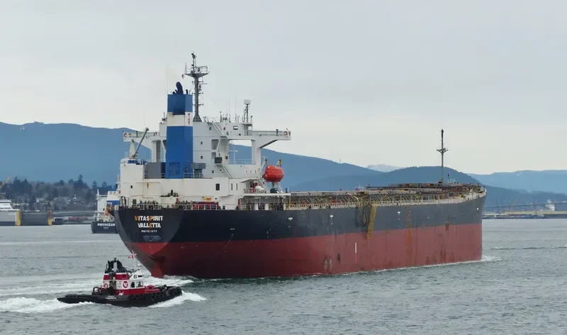 VITASPIRIT Bulk Carrier IMO 9231377 photo 5