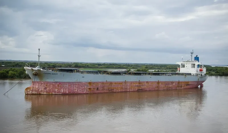 PANAMAX NEREID Bulk Carrier IMO 9231389 photo 2