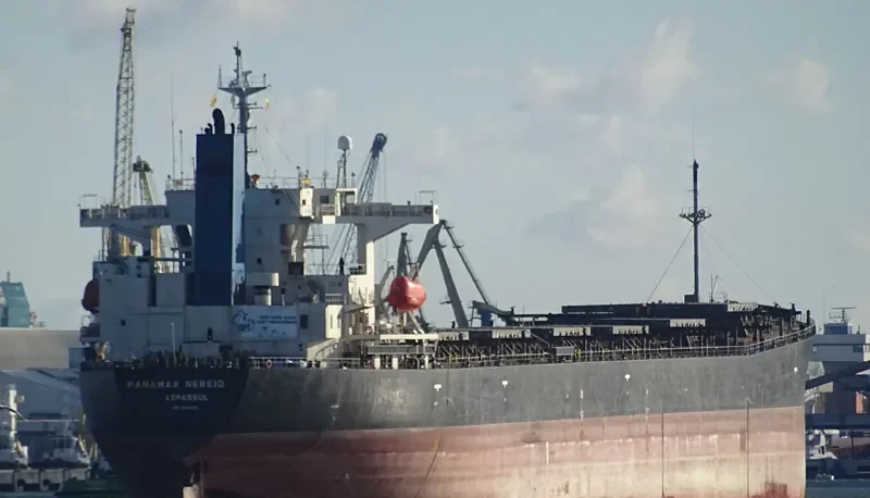 PANAMAX NEREID Bulk Carrier IMO 9231389 photo 3