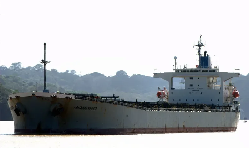 PANAMAX NEREID Bulk Carrier IMO 9231389 photo 6
