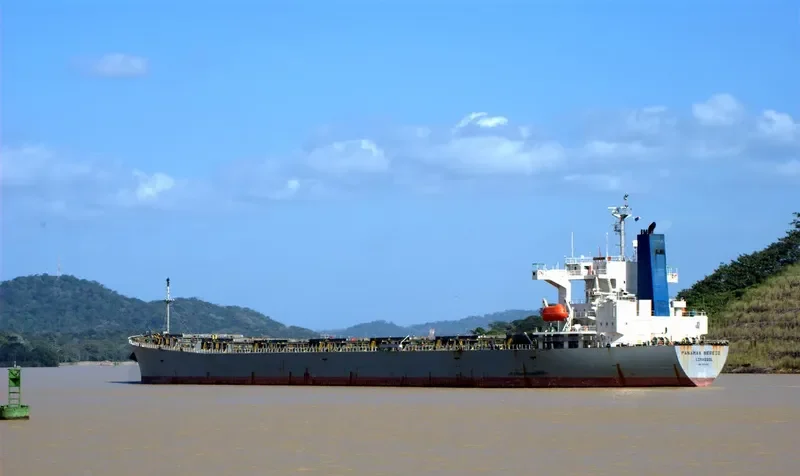 PANAMAX NEREID Bulk Carrier IMO 9231389 photo 7